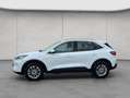 Ford Kuga 2.5 Duratec PHEV TITANIUM Weiß - thumbnail 2