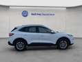 Ford Kuga 2.5 Duratec PHEV TITANIUM Weiß - thumbnail 6