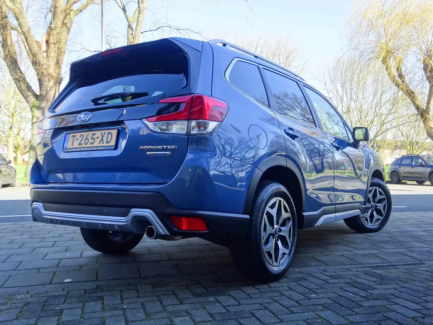Subaru Forester 2.0i e-BOXER 150pk CVT Luxury | Navi | Trekhaak | Blauw - 2