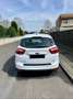 Ford C-Max 1.0 EcoBoost Start-Stopp-System Champions Edition Weiß - thumbnail 4