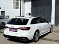 Audi A4 Avant 35 TDI S-line S-tronic Weiß - thumbnail 14