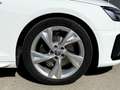 Audi A4 Avant 35 TDI S-line S-tronic Weiß - thumbnail 17