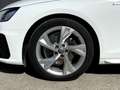 Audi A4 Avant 35 TDI S-line S-tronic Weiß - thumbnail 9