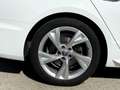 Audi A4 Avant 35 TDI S-line S-tronic Weiß - thumbnail 15
