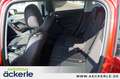 Peugeot 2008 Allure GT+ I Pano I Sitzheizung I Kamera Rot - thumbnail 15