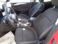 Ford Focus 1.5 EcoBlue 120 CV SW Business Rosso - thumbnail 9
