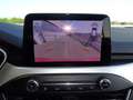 Ford Focus 1.5 EcoBlue 120 CV SW Business Rosso - thumbnail 15
