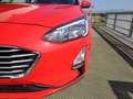 Ford Focus 1.5 EcoBlue 120 CV SW Business Rosso - thumbnail 5