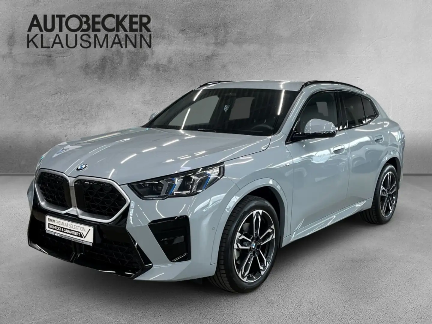 BMW X2 sDrive 18d M SPORT 19'' AHK DACHRELING PARKEN KOMF Gris - 1