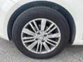 Fiat Punto Evo 5p 1.3 mjt Active 75cv - thumbnail 18