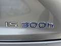 Lexus IS 300 Lexus IS 300h F-Sport Line - 2.5i Hybride E-CVT Stříbrná - thumbnail 15