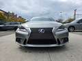 Lexus IS 300 Lexus IS 300h F-Sport Line - 2.5i Hybride E-CVT Stříbrná - thumbnail 2