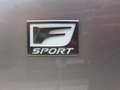 Lexus IS 300 Lexus IS 300h F-Sport Line - 2.5i Hybride E-CVT Argent - thumbnail 17