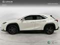 Lexus UX 200 SUV BUSINESS 2.0 Híbrido Gasolina Transmisión Au Blanco - thumbnail 3