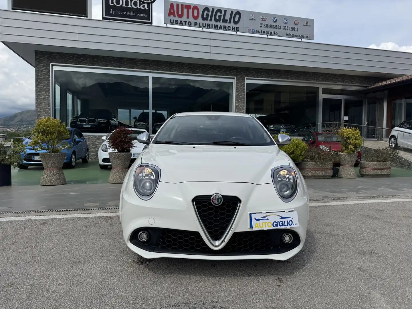 Alfa Romeo MiTo MiTo 2013 1.3 jtdm Super 95cv E6 Blanc - 2
