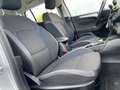 Ford Focus 1.5 EcoBlue 120 CV automatico SW Business Co-Pilot Grigio - thumbnail 14