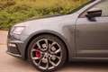 Skoda Octavia Octavia III Combi Combi 2.0 TSI RS Grau - thumbnail 4