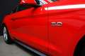 Ford Mustang Fastback 5.0 Ti-VCT GT Rojo - thumbnail 8