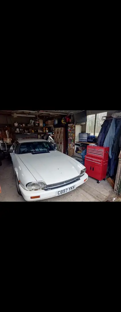 Jaguar XJS Tom Walkinshaw Racing V12 - 1