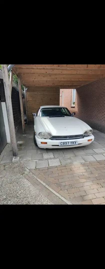 Jaguar XJS Tom Walkinshaw Racing V12 - 2