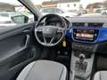 SEAT Ibiza 1,0 TSI FR Blau - thumbnail 11