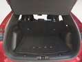 Ford Kuga 1.5 EcoB. Auto S&S ST-Line 4x2 150 Rojo - thumbnail 14