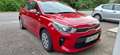 Kia Rio Rio 1,25 Titan Rot - thumbnail 7