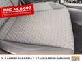Volkswagen T-Cross 1.0 tsi sport 110cv dsg Blanc - thumbnail 9
