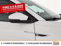 Volkswagen T-Cross 1.0 tsi sport 110cv dsg Blanc - thumbnail 16