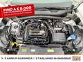 Volkswagen T-Cross 1.0 tsi sport 110cv dsg Blanc - thumbnail 13