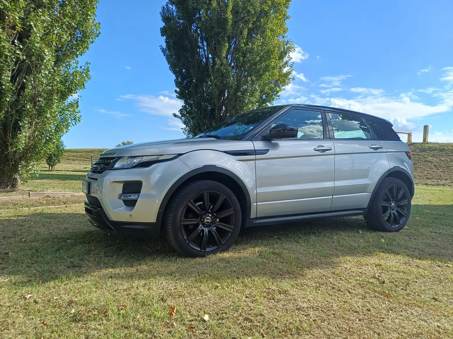 Land Rover Range Rover Evoque Range Rover Evoque 5p 2.2 sd4 Dynamic 190cv auto Argento - 1
