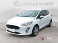 Ford Fiesta 1.1 75 CV 3 porte 2 POSTIAUTOCARRO TREND Wit - thumbnail 1