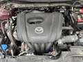 Mazda 2 Mazda 2 G90 Takumi Takumi Rot - thumbnail 11