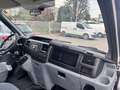 Ford Transit 350l cab cassone **+IVA** Bianco - thumbnail 10
