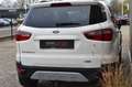 Ford EcoSport 1.0 EcoB. Titanium Leer/Clima/Cruise/Trekhaak Blanc - thumbnail 14