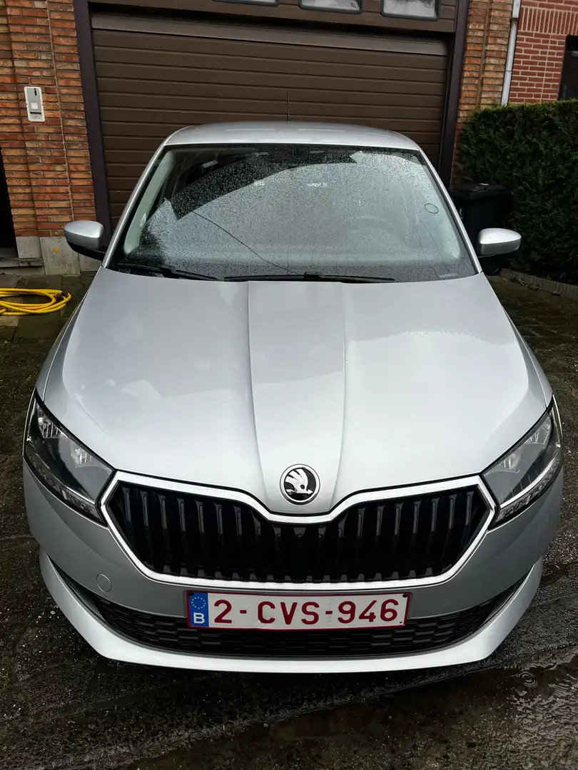 Skoda Fabia 1.0 Zilver - 1