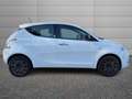 Lancia Ypsilon Ypsilon 1.2 s&s 69cv my19 Bianco - thumbnail 3