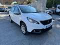 Peugeot 2008 1.2 SOLO 71 MILA KM Bianco - thumbnail 7