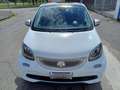 smart forFour 1.0 twinamic Passion Unico Pro solo 70.000 km Weiß - thumbnail 2