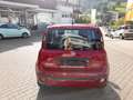 Fiat Panda Red Rot - thumbnail 4
