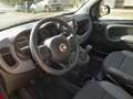 Fiat Panda Red Rot - thumbnail 7