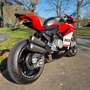 Ducati 959 Panigale Corse Rojo - thumbnail 6