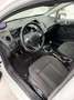 Ford Fiesta Titanium Sonderlackierung*SHZ*Ambiente Weiß - thumbnail 13