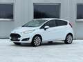 Ford Fiesta Titanium Sonderlackierung*SHZ*Ambiente Weiß - thumbnail 2