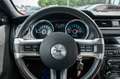 Ford Mustang 3,7 GT500 Shelby LEDER XENON CARBON Bleu - thumbnail 23