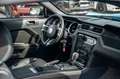 Ford Mustang 3,7 GT500 Shelby LEDER XENON CARBON Bleu - thumbnail 22