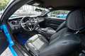 Ford Mustang 3,7 GT500 Shelby LEDER XENON CARBON Bleu - thumbnail 25