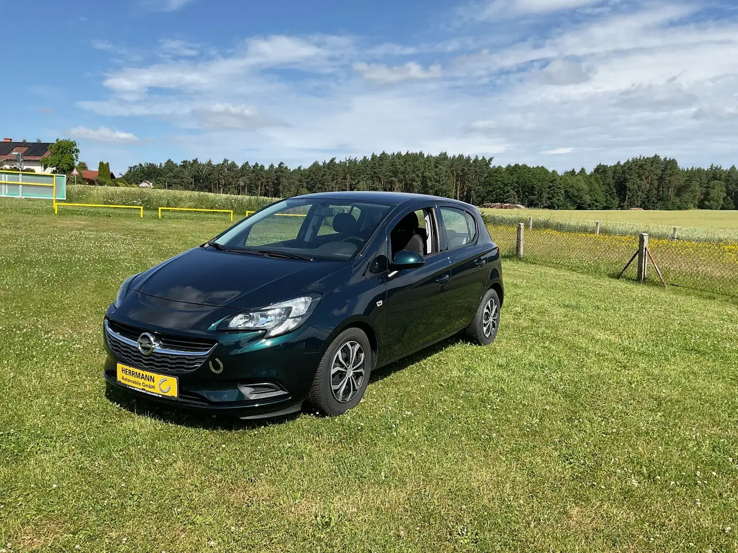 Opel Corsa E Edition Grün - 1