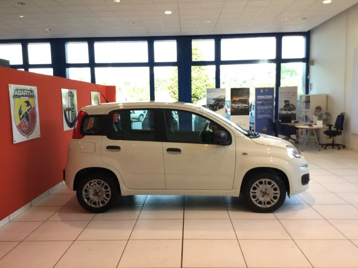 Fiat Panda Panda 1.2 Easy - 1