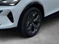 CUPRA Formentor 2.0 TDI LED*Navi*AHK*Sitzh.*Kamera* Weiß - thumbnail 19